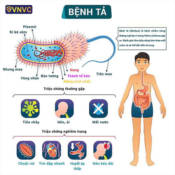 z7159344463997 bfb9e6576f1993a90dfbde14ce5b1dd2