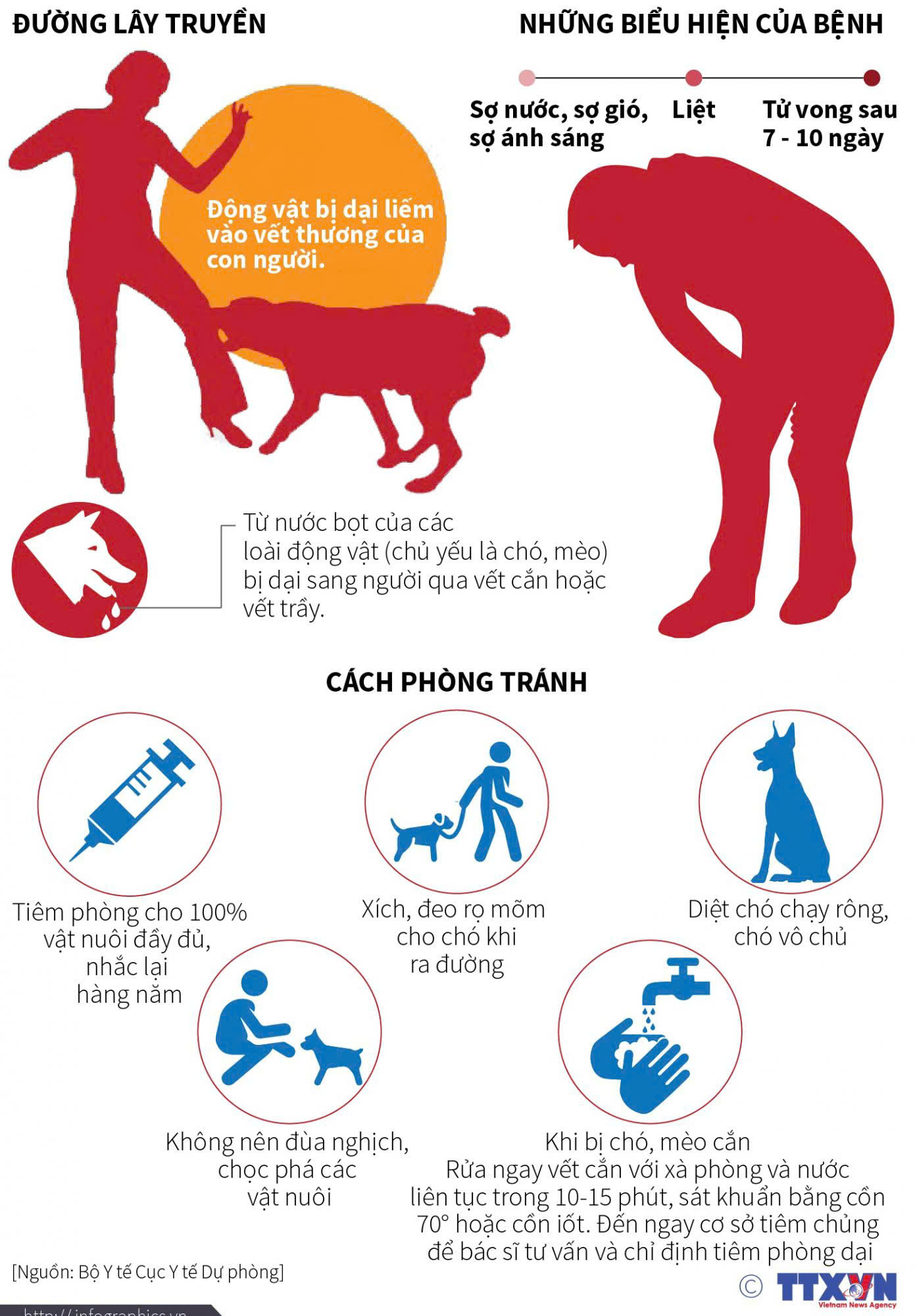 z7339871954916 65f0ac074ff531d3f440aea5e074f2db