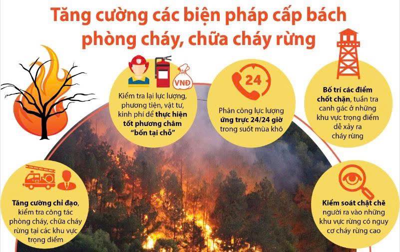 UBND Xã An Phước - Tăng cường phòng, chống cháy trong mùa khô: Cảnh báo nguy cơ cháy lan từ việc đốt tràm, đốt rác